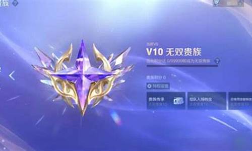 v10王者号市场价_王者荣耀无双v10多